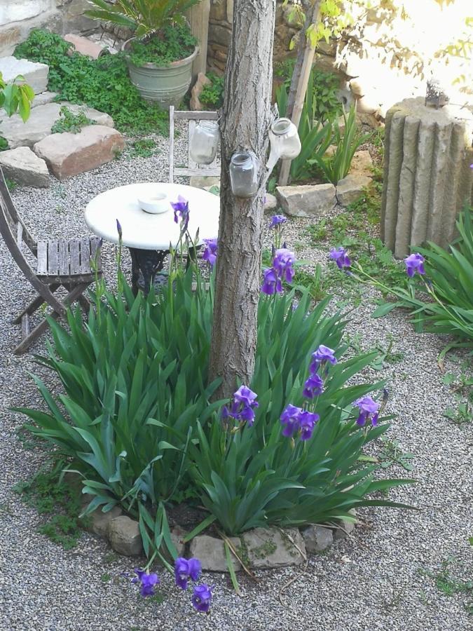 לינה וארוחת בוקר Granollers de Florejacs La Casa Dels Ocells (Adults Only) מראה חיצוני תמונה