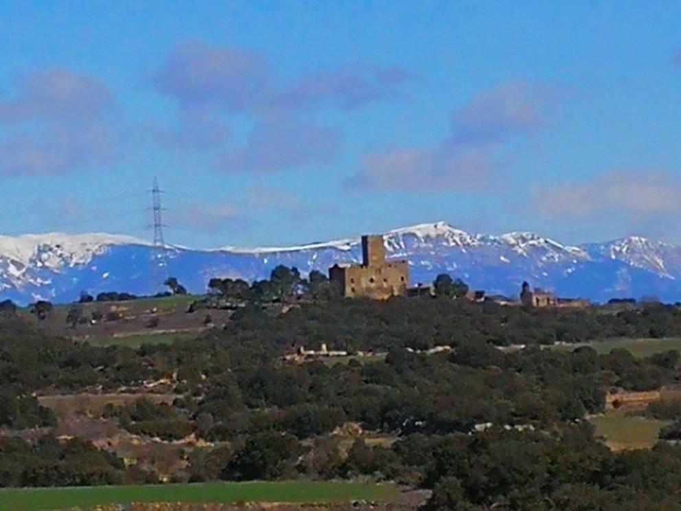 לינה וארוחת בוקר Granollers de Florejacs La Casa Dels Ocells (Adults Only) מראה חיצוני תמונה